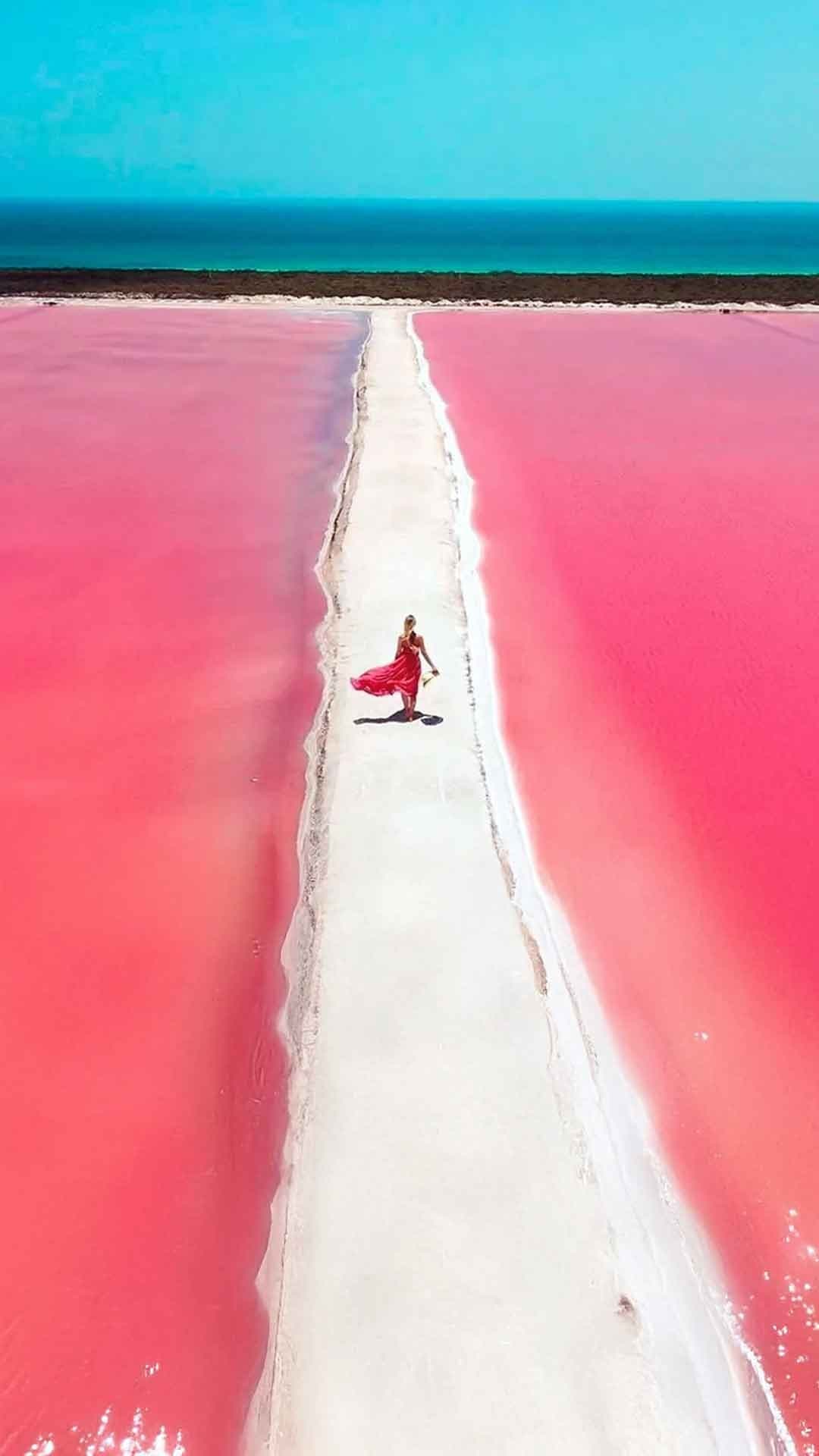 La ruta del Flamingo Tour